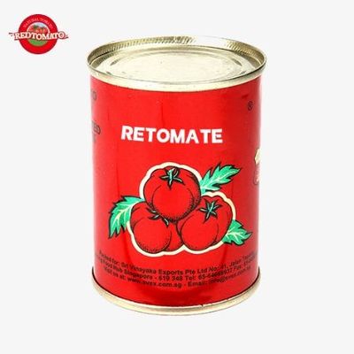 Canned Double Concentrated Tomato Paste 425g Hard Open Lid Per Tin