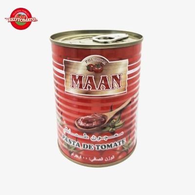 800g Double Concentrate Canned Tomato Paste Brix22-24% Customizable Brand Available