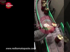 Canned Triple Concentrated Tomato Paste 425g Hard Open Lid Per Tin