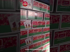 70g Sachet Tomato Paste