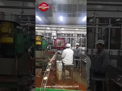 Canned Tomato Paste Easy Open Lid