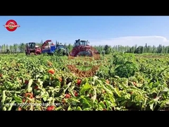 How is China's Xinjiang Drum Tomato Paste produced