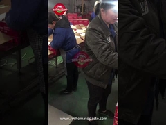 Canned tomato paste Quality Control on the line