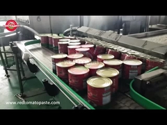 MAKAO Canned Tomato paste