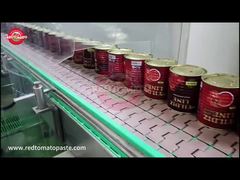  YILDIZ LINE 800g Canned Tomato Paste