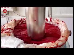 Stand up Sachet Tomato Paste